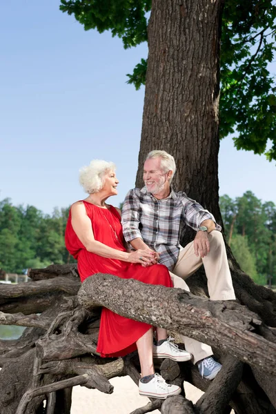 Pareja jubilada positiva sentada en el viejo árbol y sonriendo felizmente — Foto de Stock