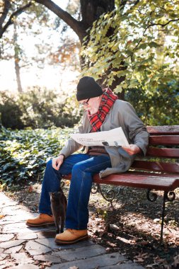 Neşeli iyi adam kedi arıyorum