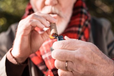 Seçici odak bir Küba puro yaktı