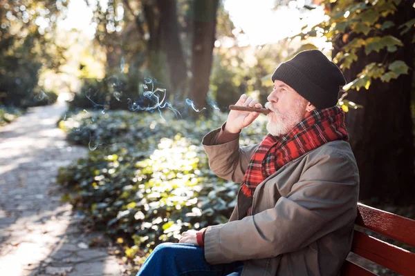 Agradable hombre mayor disfrutando de su cigarro cubano — Foto de Stock