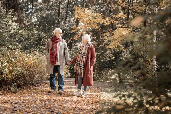 Agradable pareja de ancianos caminando en el bosque de otoño — Foto de Stock