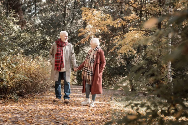 Sonbahar ormanda yürüyüş keyifli üst düzey çift — Stok fotoğraf