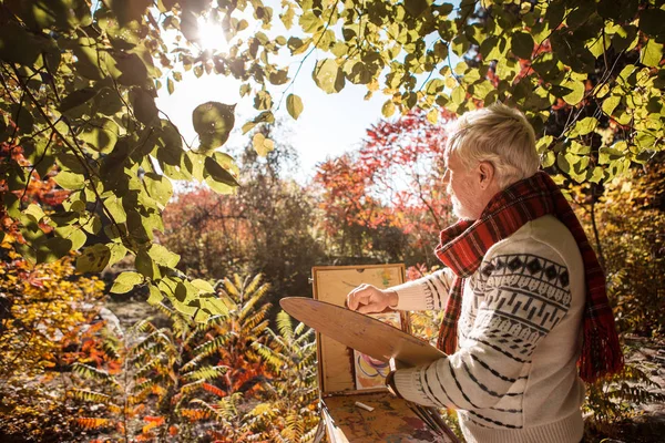 Artista talentoso alegre olhando para as árvores de outono — Fotografia de Stock