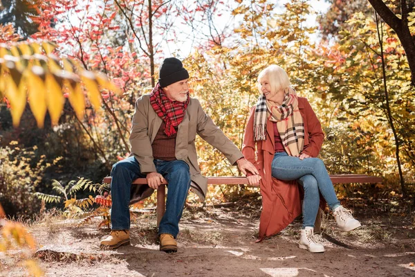 Trevlig glad äldre par lösa sina problem — Stockfoto