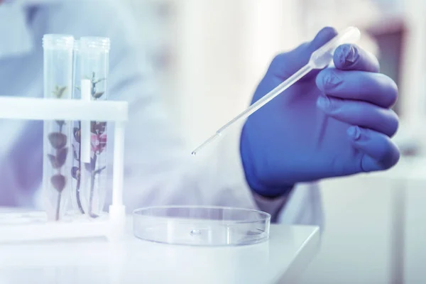 Focused photo on male hand that holding pipette — Stock Photo, Image