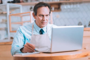 Bilgisayar başında bakarak özenli garson