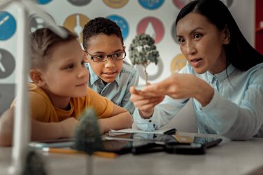 Özenli esmer kadın kişi yapay ağaç incelenmesi