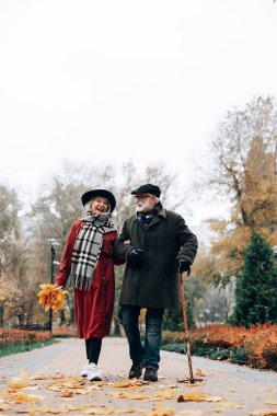Neşeli olgun aile açık havada birlikte vakit