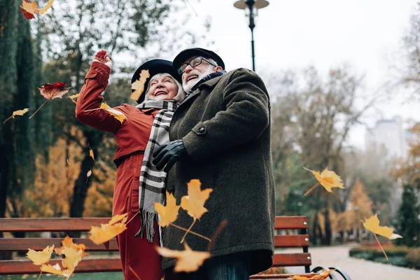 Sii Felice Gioioso Uomo Barbuto Mantenere Sorriso Sul Suo Volto — Foto Stock