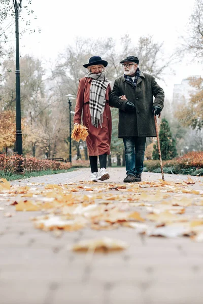 Emekli çift birlikte Park'ta yürüyordunuz rahat — Stok fotoğraf