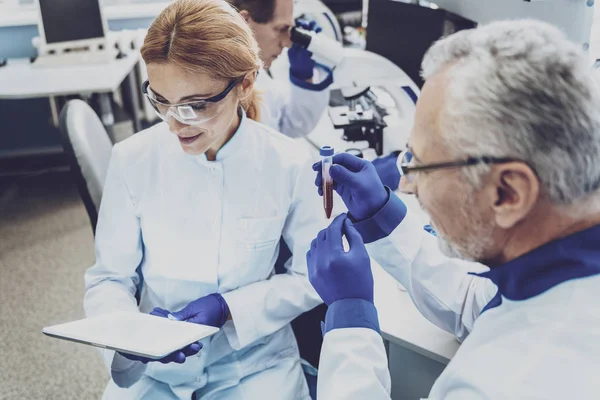 Professionista attento alla ricerca di informazioni online — Foto Stock