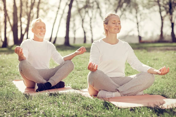 Positive delighted mature people doing yoga on nature — Stock Photo, Image