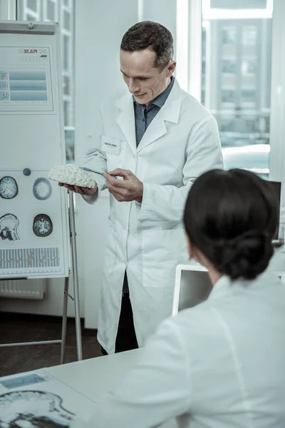 Исполнительный врач представляет гипсовую модель мозга во время консультации — стоковое фото
