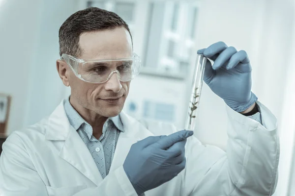 Investigador de laboratorio de pelo corto que busca un tubo de ensayo — Foto de Stock