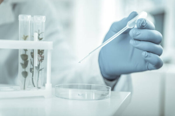 Laboratory scientist using pipet while dropping reagent