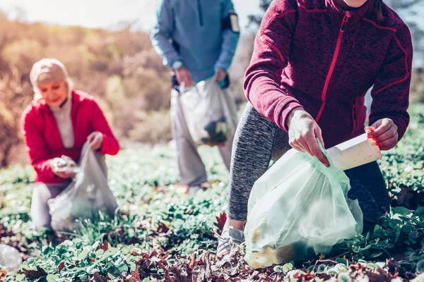 Socially active people cleaning the forest from litter