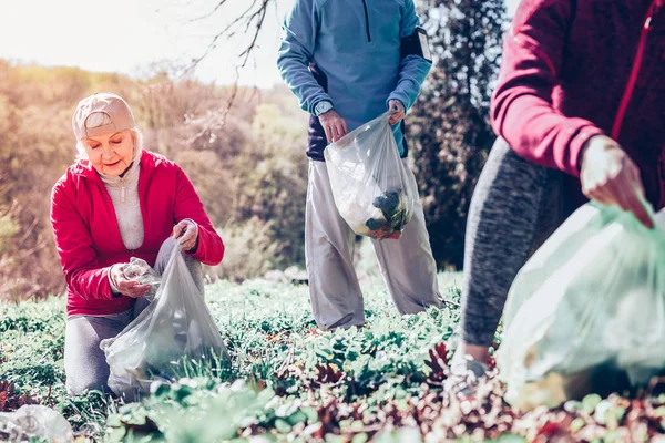 Mujer jubilada usando guantes mientras limpia el bosque de la basura — Foto de Stock