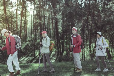 Bir gün yürüyüş sahip turist grup