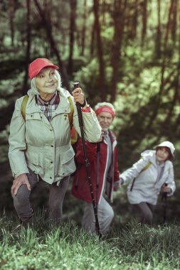 Yürüyüş sırasında doğal güzellikleri keşfetmek etkin yaşlı kadın