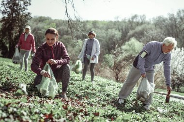 Sonra aşağı insanlar ormanı temizleme gönüllüler