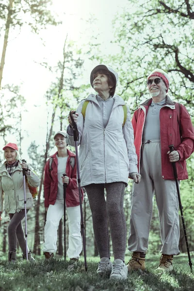 Active elderly people exploring natural attractions on theweekend