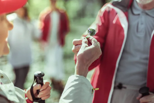 Mujer mayor recibiendo una flor de su pareja —  Fotos de Stock