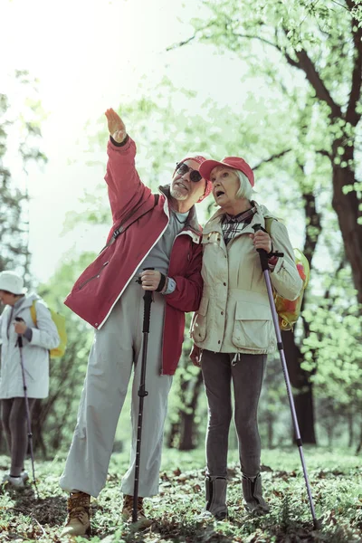 Couple de personnes âgées regardant les attractions naturelles pendant la randonnée — Photo