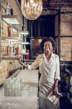 Işınlama Afro-Amerikan barmen raflar tutunmaya alkol dolu