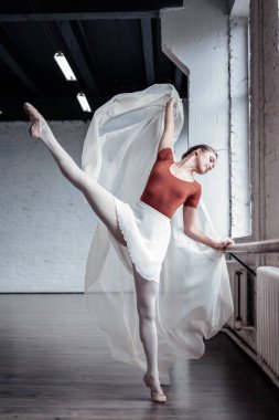 Onun iş zevk güzel çekici bale dansçısı