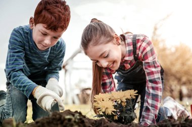 Kızıl saçlı aile yaz, birlikte iyi vakit geçiriyor