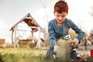 Özel aygıt kullanarak çilli kızıl saçlı küçük beyefendi