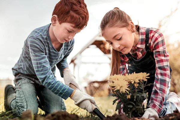 Fokuserade rödhåriga barn plantering deras favorit blomma — Stockfoto