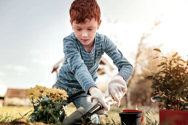 Liten pojke klädd i blå tröja i remsa — Stockfoto