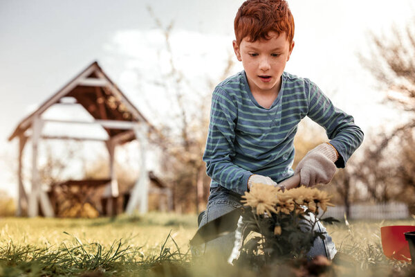 Умный мальчик несет ответственность за свой собственный желтый цветок
