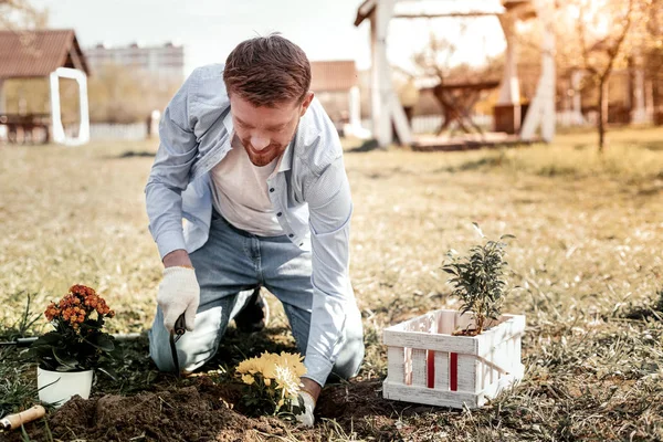 Thin handsome man planting yellow and orange chrysanthemums