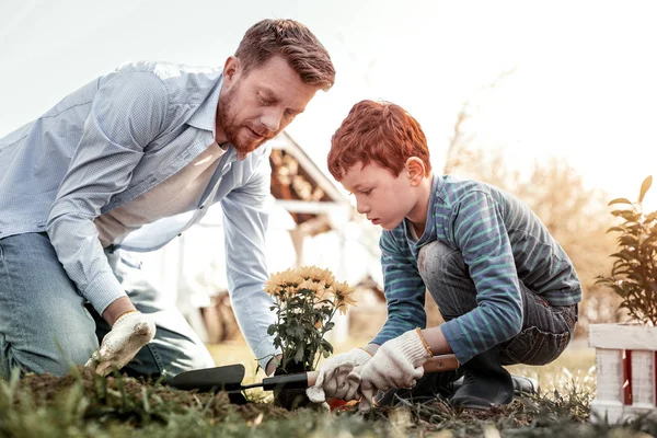 Two serious red-haired men planting yellow awesome flower — Stock Photo, Image