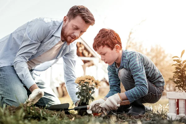 Dos hombres de pelo rojo serios plantando flor impresionante amarilla —  Fotos de Stock