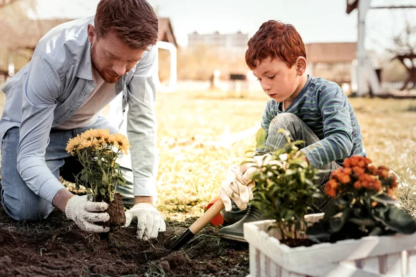 Hombre guapo serio usando guantes blancos durante la jardinería — Foto de Stock