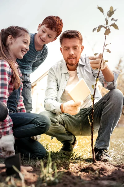 Padre contando a sus hijos sobre la responsabilidad por el árbol — Foto de Stock