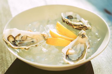 Taze istiridye plaka buz dolu sunulmakta açıldı