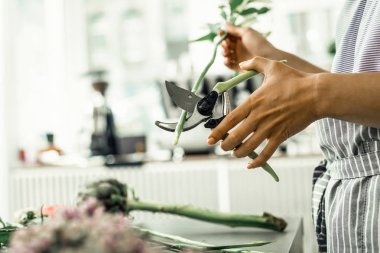 Çiçek Shop bitki kök kesim sırasında özel makas kullanarak alt