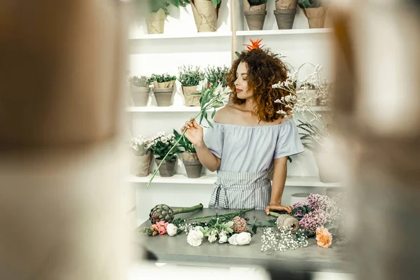 Lavoratore riccio di negozio floreale profumato bella pianta verde durante il lavoro — Foto Stock