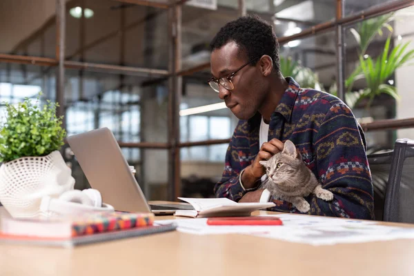 Ο άνθρωπος κατέχει μια γάτα ενώ κάνει δουλειά γραφείου — Φωτογραφία Αρχείου