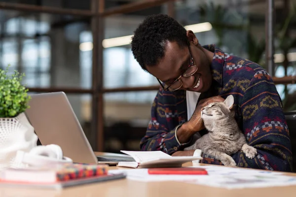 Cute grey cat sitting in its owners hands — Stock Photo, Image