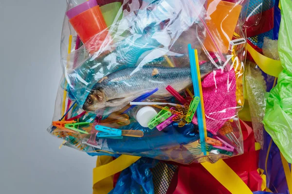 Close-up van plastic zak met dode vis en te veel plastic binnen — Stockfoto