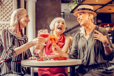 Pleasant company of senior ladies having meeting in a bar clipart