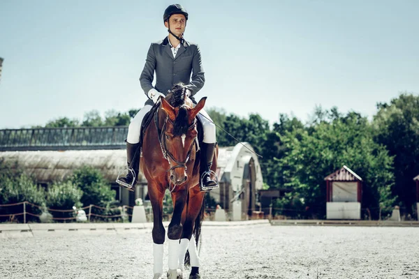 Buen joven montando a caballo. — Foto de Stock