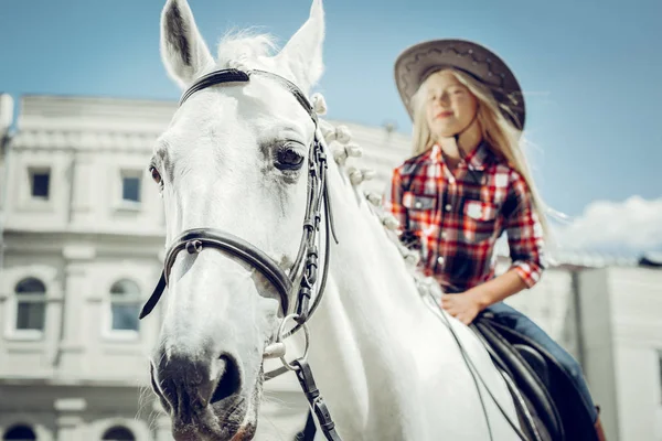 Selective focus of a beautiful white horse — Stock Photo, Image