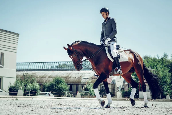 Bonito jinete guapo sentado en el caballo — Foto de Stock