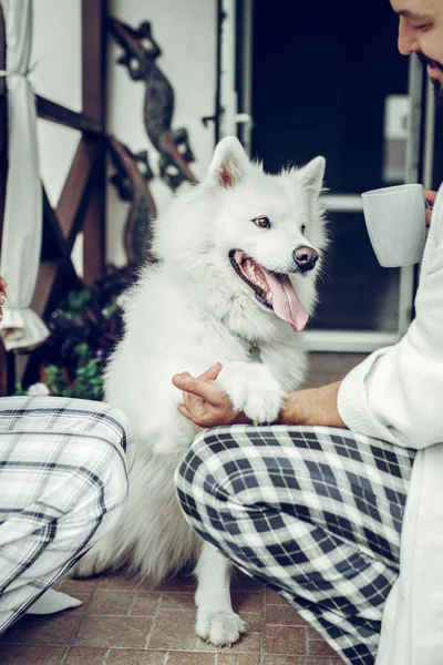 Крупный план белого пса, дающего лапу — стоковое фото